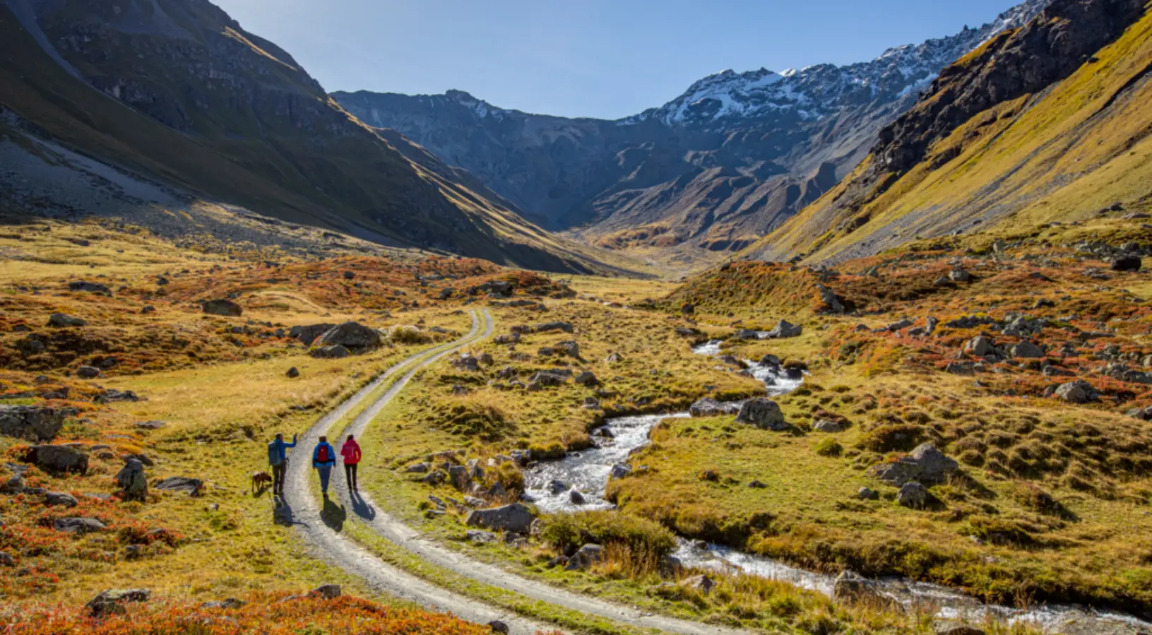 Three hikers and a dog walk along a winding trail through a golden alpine valley with a clear mountain stream and snow-capped peaks in the distance. The warm autumn colors and peaceful scenery capture the essence of outdoor adventures featured in the Swiss Travel Pass Guide, showcasing the beauty of exploring Switzerland’s mountains by train and on foot.