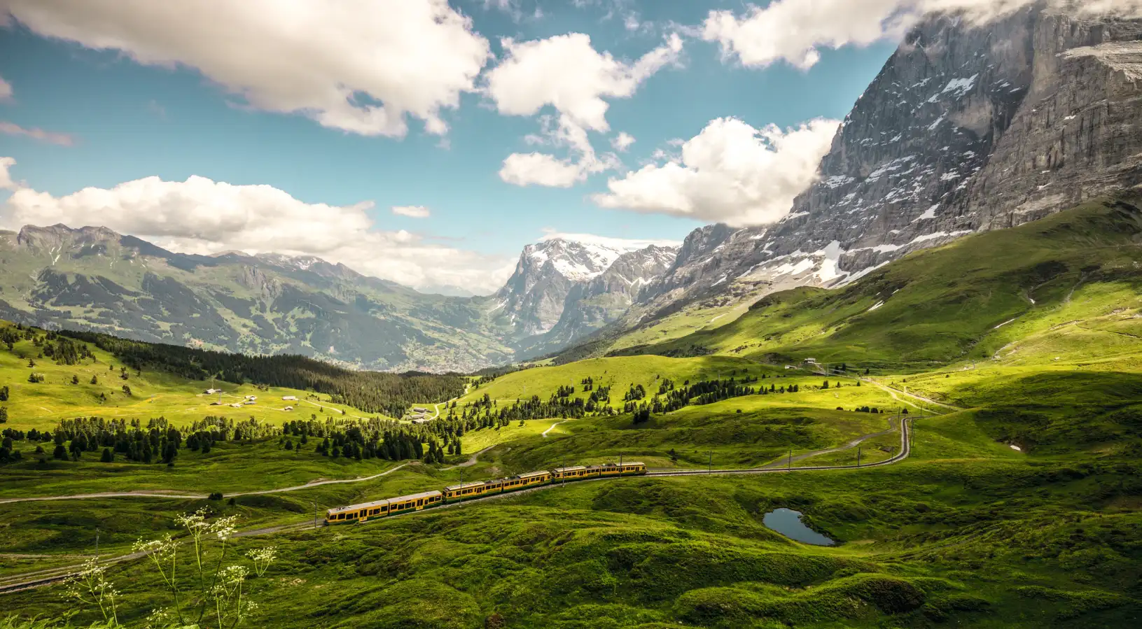 A yellow cogwheel train traveling through lush green alpine meadows beneath massive snow-capped peaks, representing scenic day trips and things to do in Interlaken.
