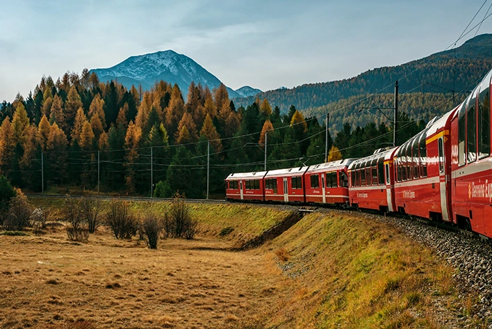 Bernina Express In Summer