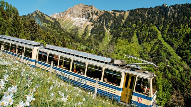 swiss travel pass rochers de naye